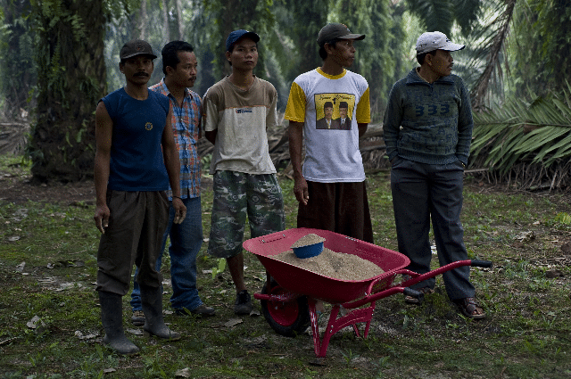 亚洲种植集团的小农户培训