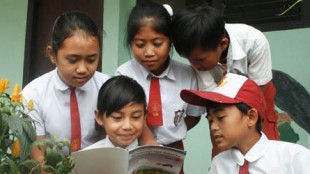 Indonesia Education System