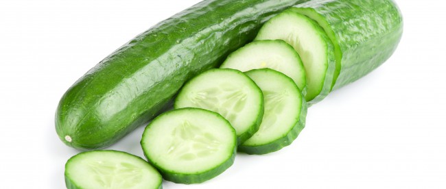 Cucumber harvest on peat lands