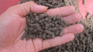 High quality fish feed made of palm oil waste