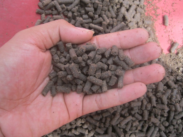 High quality fish feed made of palm oil waste