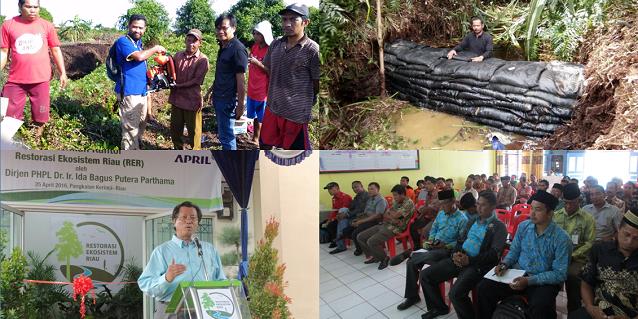 A closer look at Restorasi Ekosistem Riau Project.